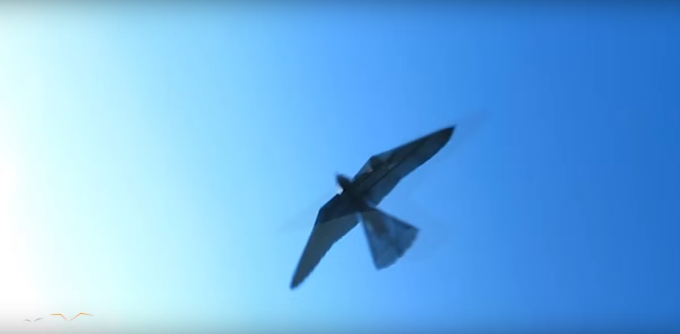 Robirds Falcon Drone - FlightBots