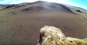 rio-asa-delta-hang-gliding-rio-de-janeiro-golden-eagle