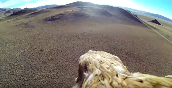 Golden Eagle point of view - Mongolia - GoPro